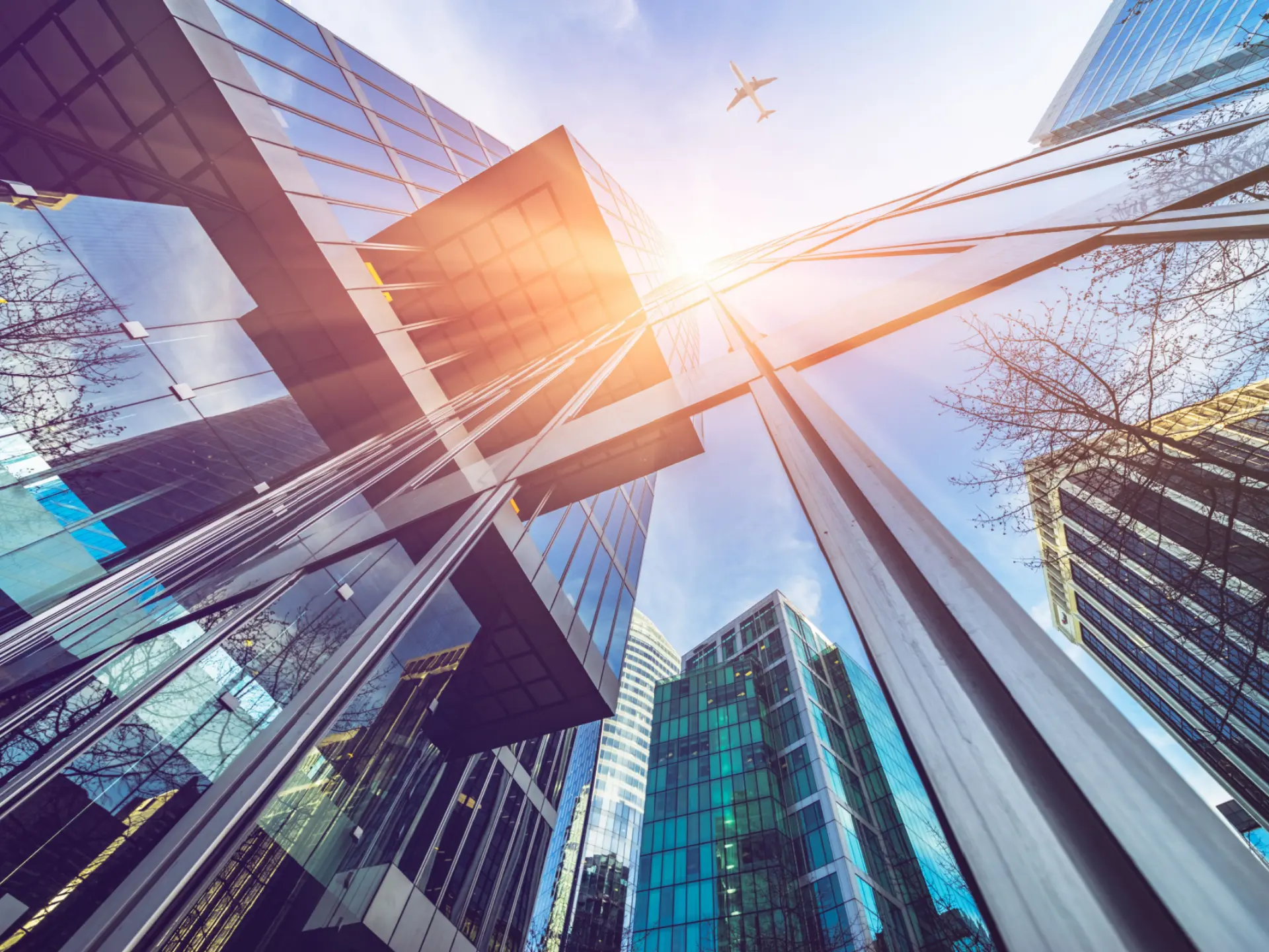 Real Estate and Immigration Lawyer North York